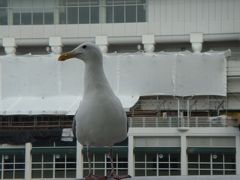 友達を訪ねてカナダへ！１日目