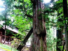 白馬村の諏訪神社にお参り　☆杉の巨樹に囲まれて