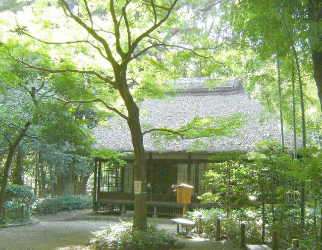 京王線八幡山駅下車、徒歩10分の蘆花恒春公園を訪れました。<br /><br />言わずと知れた文豪の住んでいた旧家です。