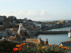 セントアイヴスSt Ives～ランズエンドLand's End　Ｄｅｖｏｎ＆Ｃｏｒｎｗａｌｌ