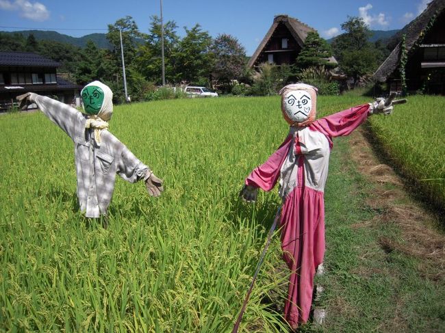 ここまで来て白川郷を見ずして帰るのは心残り。<br />飛騨高山で爽快な朝を迎え、２日目はｽｰﾎﾟﾝ1,2号とも初めての世界遺産“白川郷”を見に行くことにします。