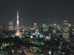 世界貿易センタービルで360度夜景！