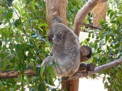 卒業旅行第２弾！　シンガポール航空で行く　オーストラリア･シンガポールの旅！　その④　ゴールドコースト編