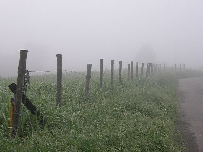 9月13日の早朝は、昨日の雨が上がり南から吹き込んだ暖気のため濃霧となる。<br />毎日の早朝ウォーキング約10キロの行程で出会えたものは・・<br /><br />濃霧が作り出す数々の自然現象にスポットを当ててみた。<br /><br /><br />