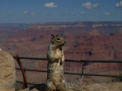 アリゾナ旅行4日目　グランドキャニオンからラスベガスへ