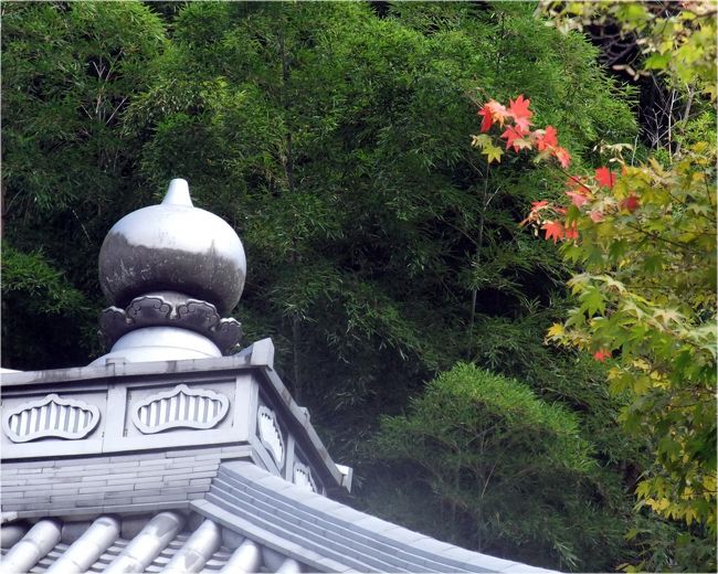 好天に誘われて、早朝から京都へ行ってきました。<br /><br />　ン１０年前に小学校の修学旅行で行った記憶のある「三十三間堂」、そして、毎年４・５回は京都に出かけているのに、なぜか訪れる機会のなかった「東福寺」など、今日は洛南の寺院を訪ねてきました。<br /><br />　青空が広がる申し分のないお天気でしたが、気温は２８度ほど…。どこかに秋の気配の漂う、京都でした。<br /><br /><br />　
