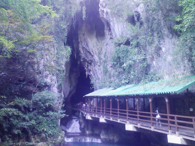 前から来てみていた思っていた秋吉台・秋芳洞を訪問する機会に恵まれました。