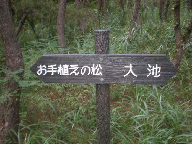 グーグルでみれば、台形のような<br />六角形を半分に切ったような国定公園<br />白い湾曲した橋を渡って・・・<鵜>に笑われながら<br />一回り・・・頂上辺りに戦時下に造られたという★要塞★<br />があった・・この要塞はレンガで造られていて<br />敵からの防御的な施設としては、好立地にある様子<br />階段を降りれば、弾薬庫があり・・・周囲のレンガ壁は<br />焼け焦げたようになっていた<br />何かあれば、まだまだ永久要塞として使えそうであるなどと<br />・・・子どもの時代には、隣村の連中と<br />人様の石垣を境に<戦争ごっこ>を思い出した<br />あの頃は、子どもながら真剣な戦いだった<br /><吹き矢><ぱちんこ><弓矢><石><釘><縄>・・・<br />等が、戦闘具・・・捕虜にならないように戦う<br />冬は雪が戦具となる〜ナア〜ンだ!思われるだろうが<br />雪の中には、画鋲や釘・ネジ・石などが仕掛けられている<br />これが、目や顔に当ったら大変なことになる<br />子どもは、事の重大さを説かないと、人への痛みを<br />知らないままに育ったりする・・・結構今は、そんな時代かも<br />親や、大人・先生・地域の力などが衰えているから・・・