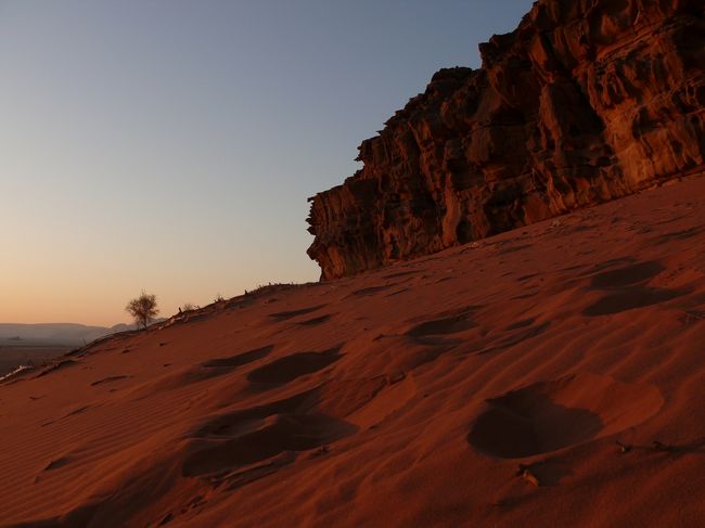 一夜明けたワディ・ラムで見たものとは？！<br />砂漠は２４時間さまざまな表情を見せる。<br /><br />星で埋め尽くされた夜明け、徐々に赤く染まる空、日の出…<br />ボスが案内してくれた早朝探検の様子をご紹介。