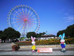 コキアとコスモスのひたち海浜公園