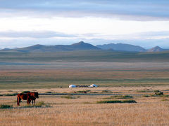 モンゴル2009夏～ブルドの草原と馬とラクダとカラコルム