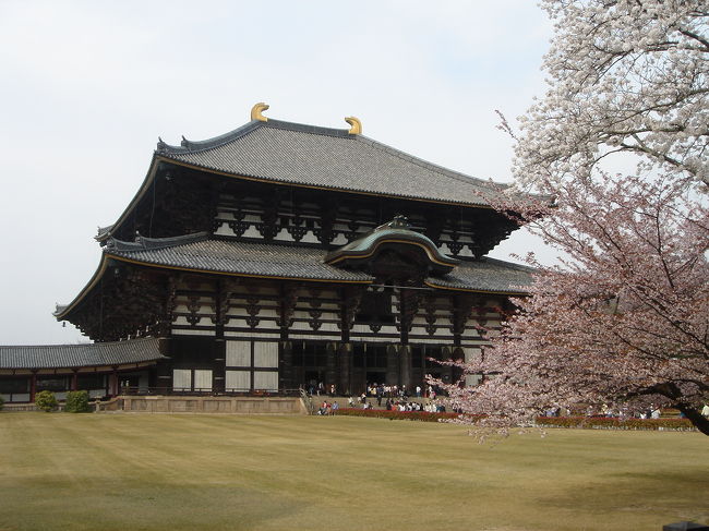 桜満開の京都・奈良へ。<br /><br />奈良を訪れたのは修学旅行以来。<br />そして桜が咲く時期は初めて。<br />本当に素晴らしかった。<br /><br />なかなか会えない大切な友達と合流。<br />じっくりゆっくり、一日一寺。<br /><br />今も鮮明に思い出せる、そんな春の奈良・京都の旅。<br /><br />
