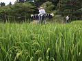 京田辺の旅行記
