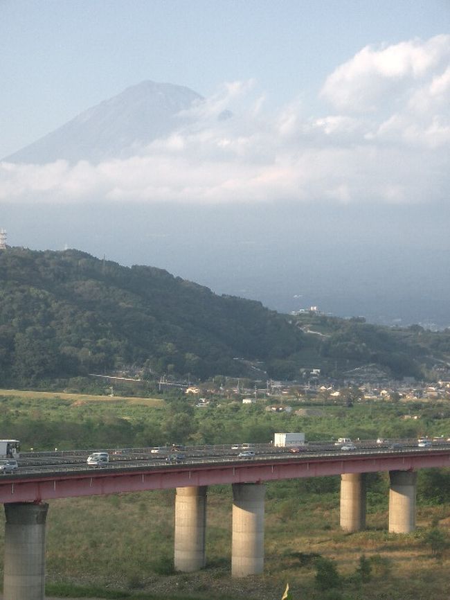 富士山は見られるし、う宮（ウミャー）やきそばは食べれるし、ドライブの疲れが吹っ飛びます。