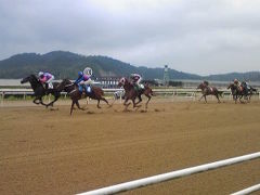 福山競馬場～競馬場うろうろ　０９年８月