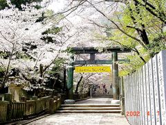香川県　桜の季節、「こんぴらさん」で親しまれる金刀比羅宮の景観
