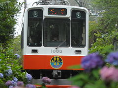 箱根あじさい電車