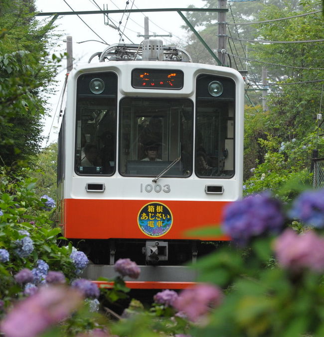 箱根あじさい電車を撮る旅です。<br />大平台駅から歩いて10分ぐらいの場所に有名な撮影ポイントがあります。<br />