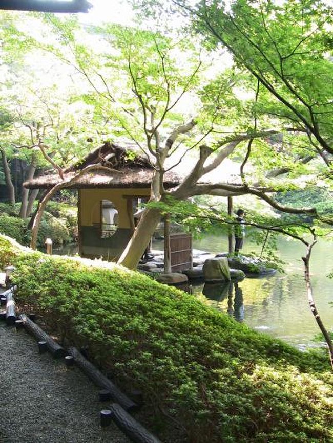 東京にだってワサワサしていない、落ち着いた場所はある。<br />こんな東京だって、たまにはいいじゃない♪<br /><br />緑豊かな日本庭園を有する八芳園と、国の迎賓館として利用されていたこともある旧朝香宮[あさかのみや]邸、現在の東京都庭園美術館を訪れました。<br /><br /><br />