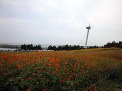 葛西臨海公園とお台場で親孝行