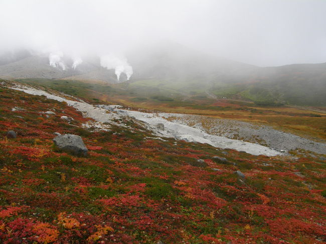 大雪山は１つの名前ではなく、たくさんの山の複合体の総称で、北海道の屋根と呼ばれている。山並みの起伏の妙はアイヌ語で「カムイミンタラ」神々の遊ぶ庭といわれている。<br />今日は、その主峰といわれる旭岳の姿見の池に行く。実は昨年同時季にバスツアーで訪れたが、悪天候でロープウエィが運休し、やむなく、コース変更で美瑛に行った苦い経験がある。<br />今年は、妹家族と母と、車でドライブの一環として、コースに入れたので、私としては、渡りに船とばかりに、便乗させていただいた。シルバーウイークの幕開けの１９日、残念ながら天候はイマイチ。義弟は晴れ男でも、甥が龍のこ太郎で雨男。さて、２人のせめぎあいや如何に・・・。<br /><br /><br />札幌ー忠別ダムー旭岳姿見の池ー忠別ダムー美瑛ー富良野風のガーデンー札幌<br /><br />７時発１９時帰宅の半日タップリのお楽しみ？！<br />まずは、旭岳の紅葉をご覧下さい。<br /><br />表紙は<br />旭岳ロープウエィ姿見駅から姿見の池方面に向かう途中<br />１２日の残雪と紅葉<br /><br />