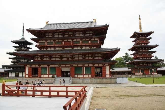 「青丹よし」の薬師寺に行ってきました。<br />薬師寺は創建当時から残る東塔以外は再建されたものですが、金堂を中心とした大伽藍は当時「竜宮造り」と呼ばれた美しい佇まいです。<br />また薬師三尊像や聖観音菩薩像などの飛鳥時代、白鳳文化の国宝なども見ることが出来ます。