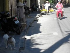 はじめてのドキドキベトナムひとり旅　③ホイアン