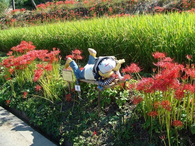 明日香村　神奈備の郷と稲淵棚田へ<br /><br /><br /><br /><br /><br />明日香村観光開発公社<br />http://www.asukanko.or.jp/<br /><br />飛鳥京観光協会<br />http://www.asukakyo.jp/