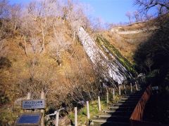 北海道　知床半島　に行ってきました。