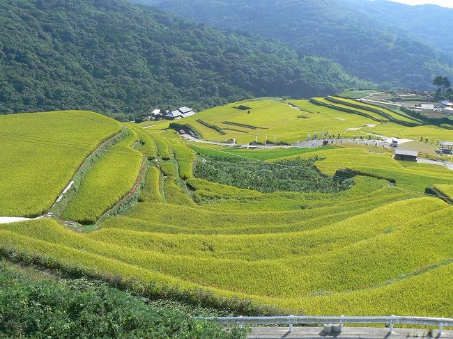 外海(そとめ)にある大中尾(おおなかお)棚田に行って来ました。<br /><br />今年は梅雨明けが遅れたので、やきもきした農家も多かったのではないでしょうか。<br />梅雨明け後は、長崎では晴天続きで、ごらんのとおり実りの秋を迎えました。<br /><br />しかし、今日は夏のように暑かったです。9月下旬なのに最高気温が30℃を超えました。^^;;<br />