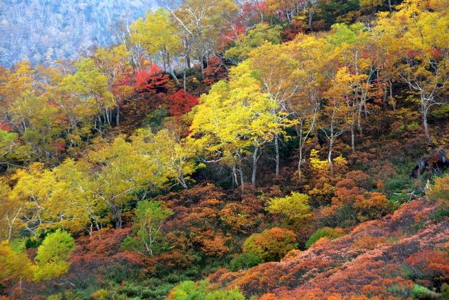 登山道入口からアップダウンの続く山道を歩くこと一時間、いよいよ沼巡りと絶景ポイントが連続します。。。期待～！！！