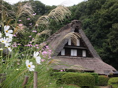 里の秋：川崎日本民家園