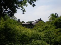 勢いで行く京都一人旅(5)（東福寺編）