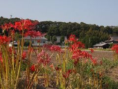 来てみ～の！古代ロマン回想散歩【七福もとめて　ぶら～り　みとよ】