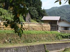 島根県（自）【41】　龍頭が滝   八重滝