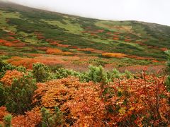 2009.9 日本一早い紅葉「大雪山」を歩く④～旭岳・姿見→裾合→中岳温泉そして出会い