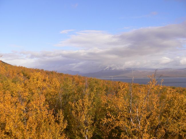 スウェーデンでは、キルナからアビスコへ<br /><br />アビスコからは、ヨーロッパ最北の鉄道・ノールランストーク鉄道でノルウェーのナルヴィークへ向かう。<br />黄葉の大自然を満喫！<br /><br />