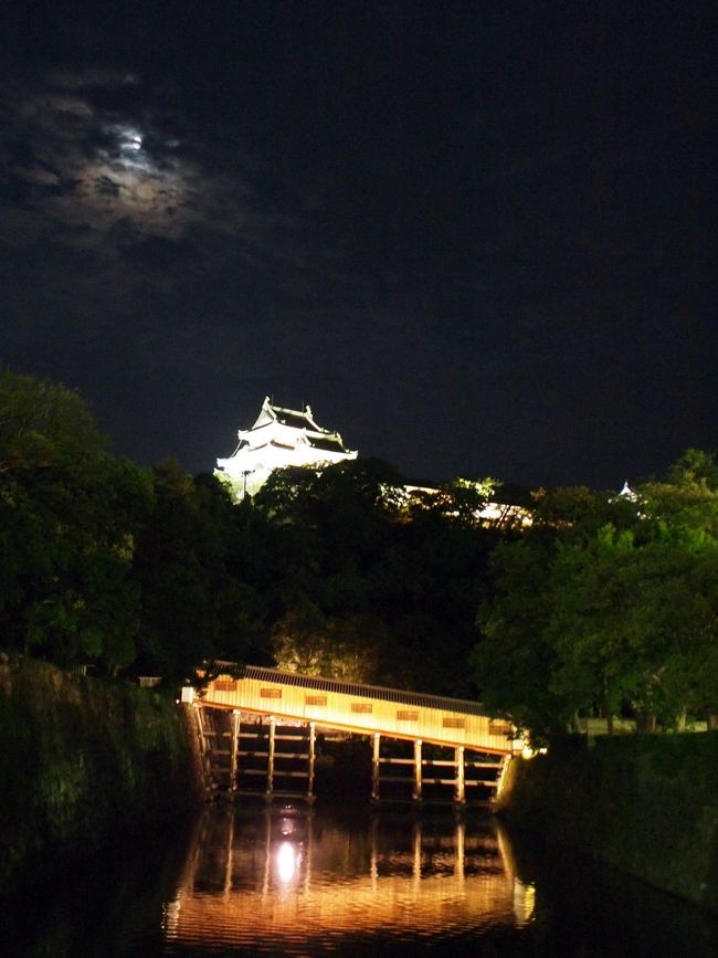 和歌山に帰省した時にたまたま、紀州おどり<br />という、お祭りやってたので行ってきました。<br /><br />紀州おどりは、wikipediaによると、和歌山の三大イベントの一つ