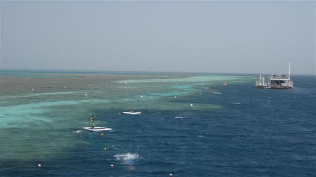 のんびりゆ ったりハミルトン島4泊5日の休日 Vol3 ハミルトン島 オーストラリア の旅行記 ブログ By Enkさん フォートラベル