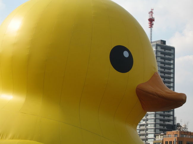 怪しすぎるぅ