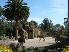 オーストラリア、メルボルン動物園 (Melbourne Zoo)