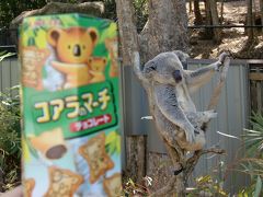 海と山と大都市世界遺産ツアーの旅①～ハミルトン・ケアンズ編～