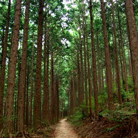 【世界遺産・熊野三山の旅】 1日目／熊野古道・中辺路ルート＆熊野本宮大社編