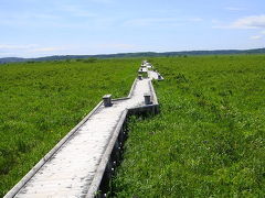 仔猫といっしょ計画（北海道旅行２００９　５日目 根室・霧多布編）