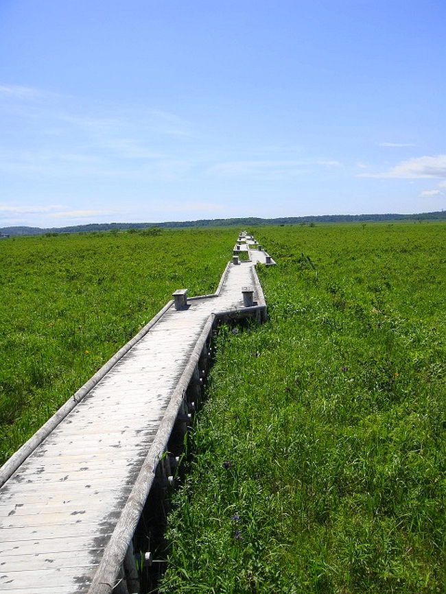 仔猫といっしょ計画（北海道旅行２００９　５日目 根室・霧多布編）