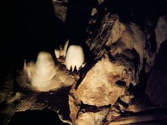 Carlsbad Caverns National Park　（２００６年春の旅行記）
