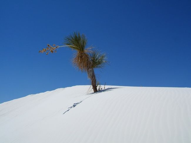White Sands National Monument　（２００６年春の旅行記）