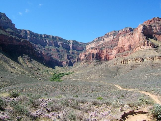 Grand Canyon National Park　（２００６年春の旅行記）