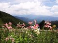 はじめての子連れ温泉旅行　～Ｎｏ３　完～