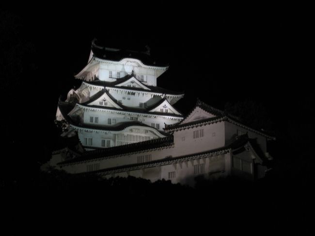 ホテルにチェックインしてシャワーを浴びた後は、夕飯を食べに外へ。<br />この辺は穴子が有名のようなので、穴子が食べられるお店に行ってみました。<br />そしてその後はライトアップされているお城を見に行ってみることに。